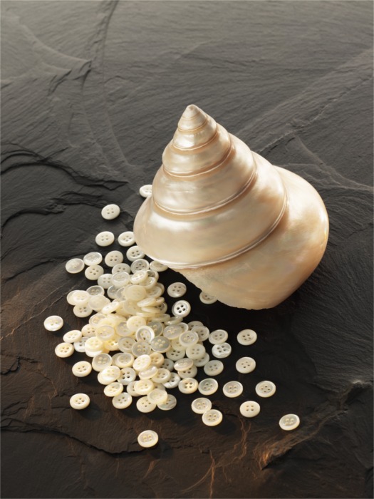 NBEADS 30 Stück Perlmuttknöpfe 11mm - Weiße Muschelknöpfe Mit Stiel Für Nähen & DIY